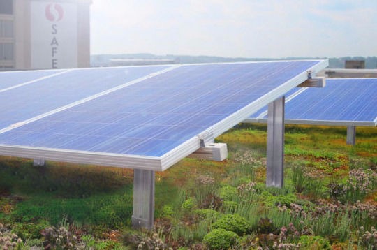 Biosolar, Solar Garden Roof